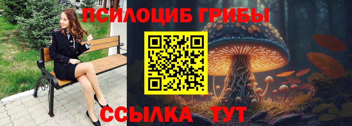 купить наркотик  Галлюциногенные грибы GOLDEN TEACHER  Вход с VPN  Костомукша 