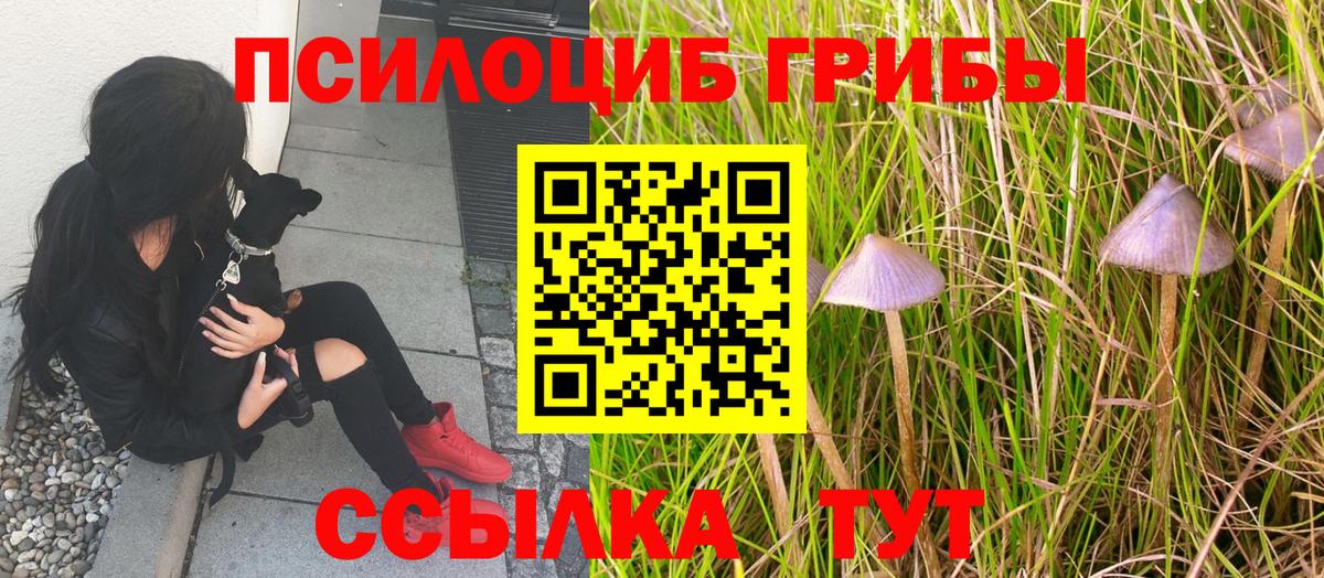 Псилоцибиновые грибы мухоморы Костомукша